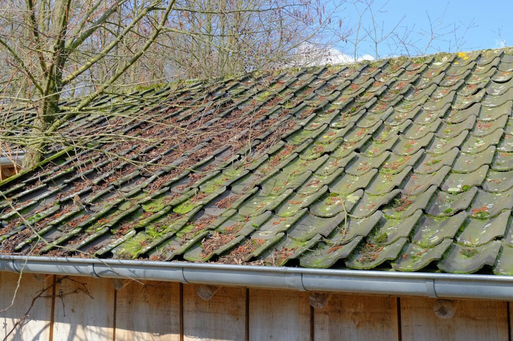 Closeup shot of the roof of a house next to a tree